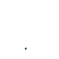 cell